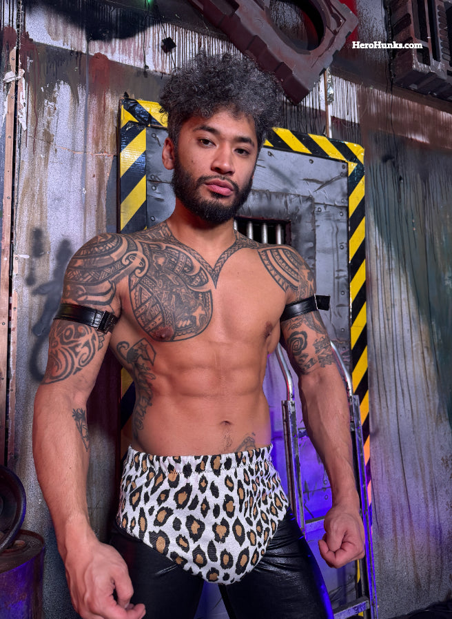 Virex vs. Anchorforce